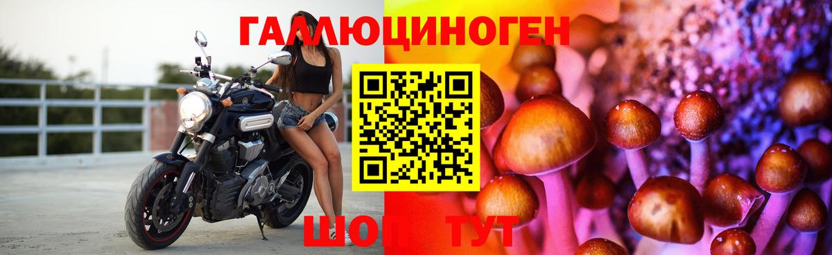 сколько стоит  Вход с VPN  Белово  Галлюциногенные грибы Psilocybine cubensis  Псилоцибиновые грибы Magic Shrooms 